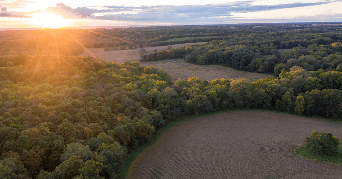 Featured Image for Sales Trends for 2022 Land Market